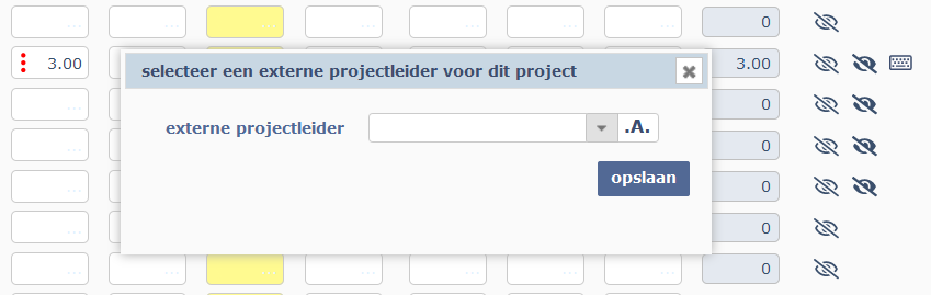kies externe projectleider 